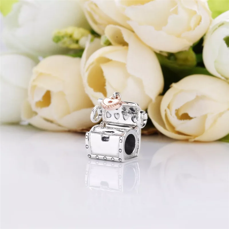 (immagine per) PANDORA Club Charm 2019 - Visualizza 4