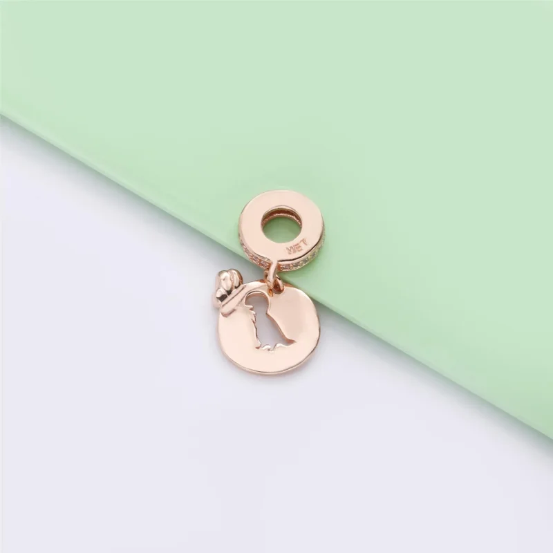 (immagine per) Charm pendente PANDORA Amicizia Eterna 788180CZ - Visualizza 4