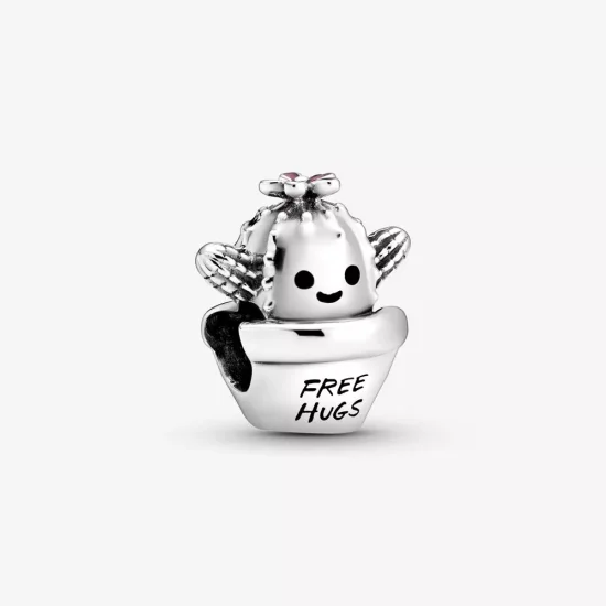 (immagine per) Charm Cactus - 798786C01