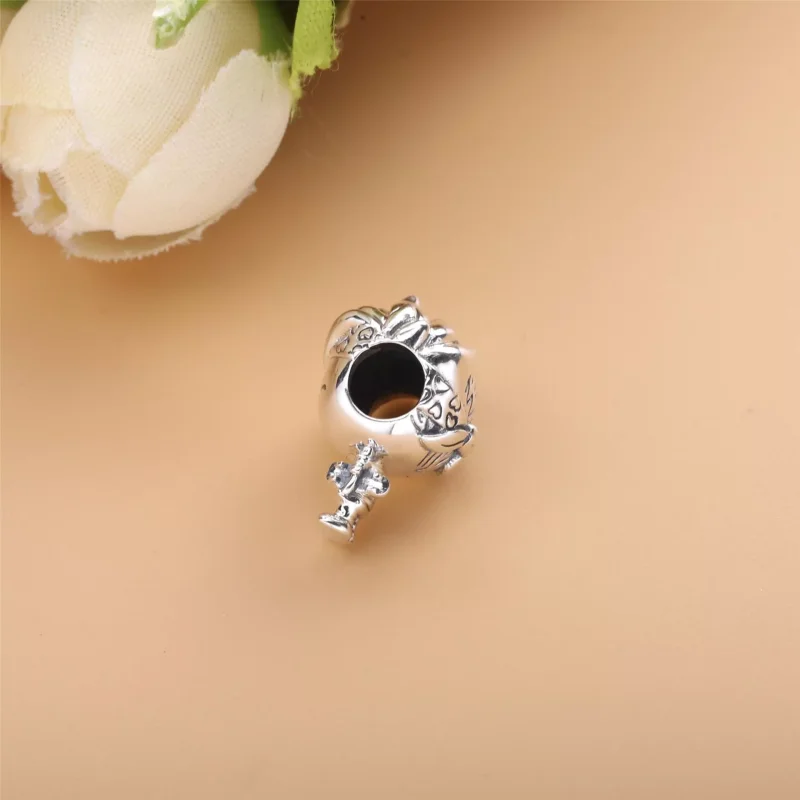 (immagine per) Charm Ragazzo teenager - 798897C00 - Visualizza 3