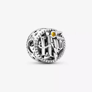 (immagine per) Harry Potter, Charm PANDORA Icone con lavorazione openwork - 799127C01