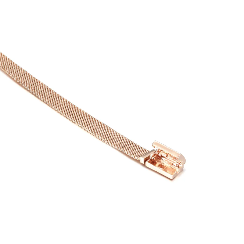(immagine per) Bracciale PANDORA Pandora Reflexions con Chiusura Lunga - 589358C01 - Visualizza 5