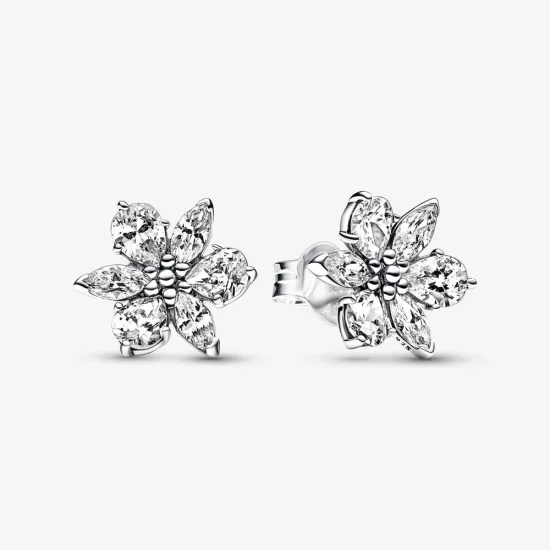(immagine per) Orecchini a bottone Pandora Sparkling Herbarium Cluster - 292633C01
