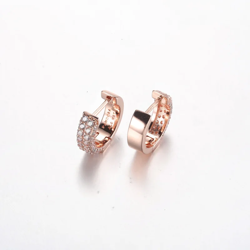 (immagine per) Orecchini a cerchio Pandora Timeless Pavé a doppio filo - 282622C01 - Visualizza 3