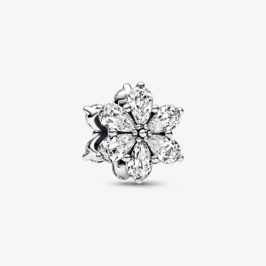 (immagine per) Pandora Charm Cluster Sparkling Herbarium - 792623C01