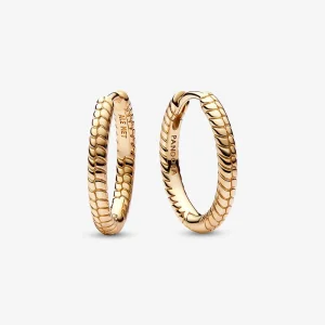 (immagine per) Orecchini a cerchio con charm piccoli Pandora Moments - 262728C00