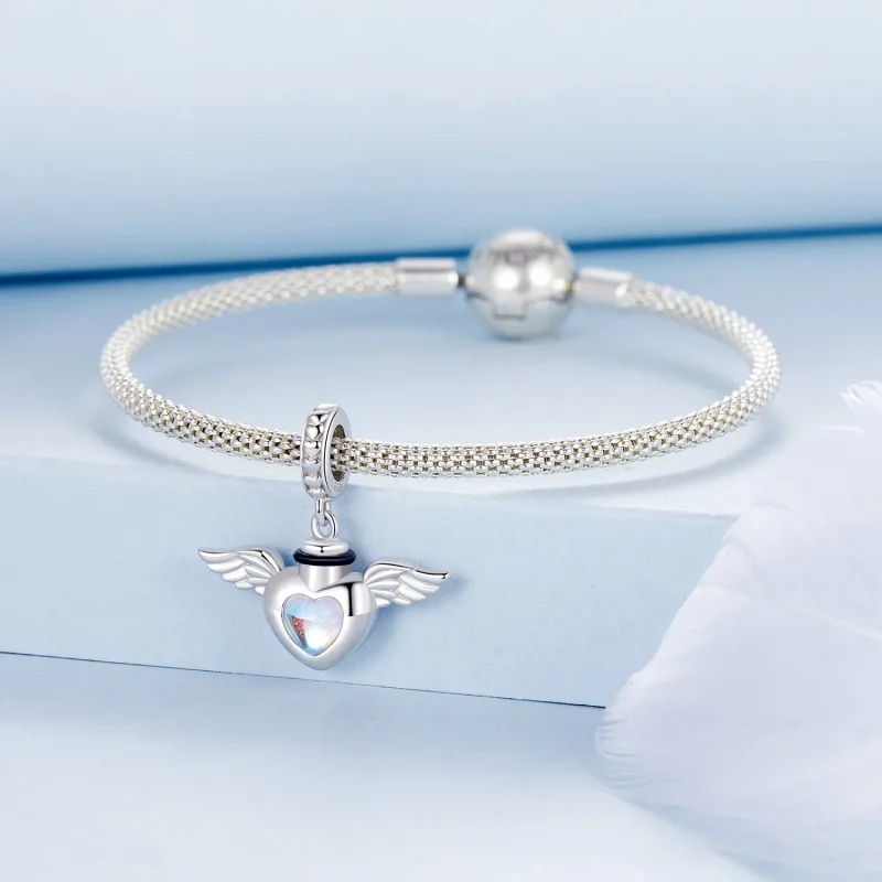 (immagine per) PANDORA Style Pet urna commemorativa ciondolo scatola - BSC1036 - Visualizza 3