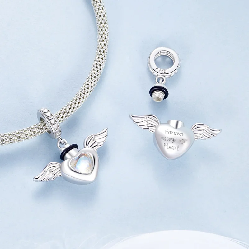 (immagine per) PANDORA Style Pet urna commemorativa ciondolo scatola - BSC1036 - Visualizza 4