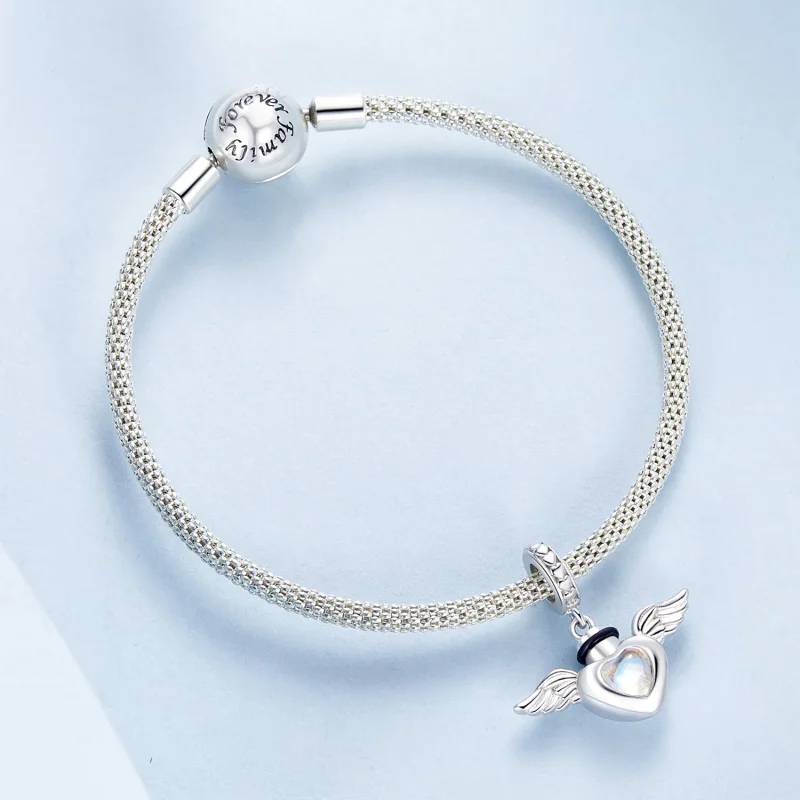 (immagine per) PANDORA Style Pet urna commemorativa ciondolo scatola - BSC1036 - Visualizza 5