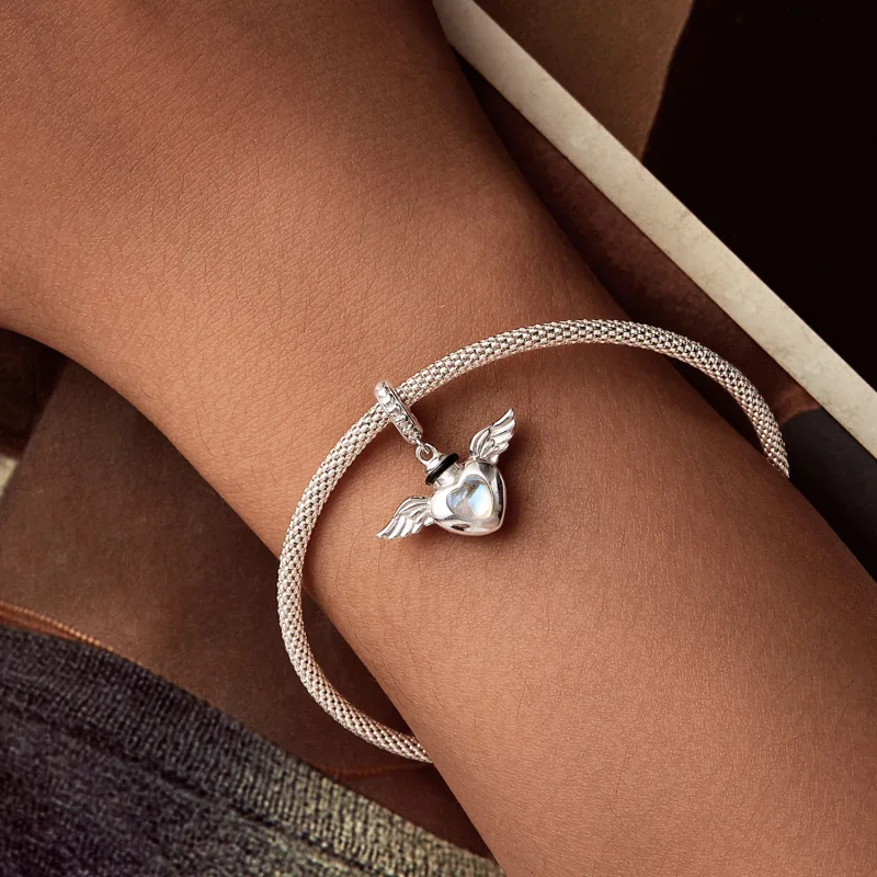 (immagine per) PANDORA Style Pet urna commemorativa ciondolo scatola - BSC1036 - Visualizza 6