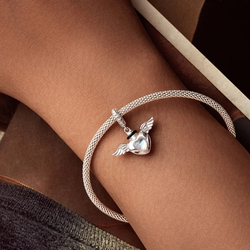 (immagine per) PANDORA Style Pet urna commemorativa ciondolo scatola - BSC1036 - Visualizza 7
