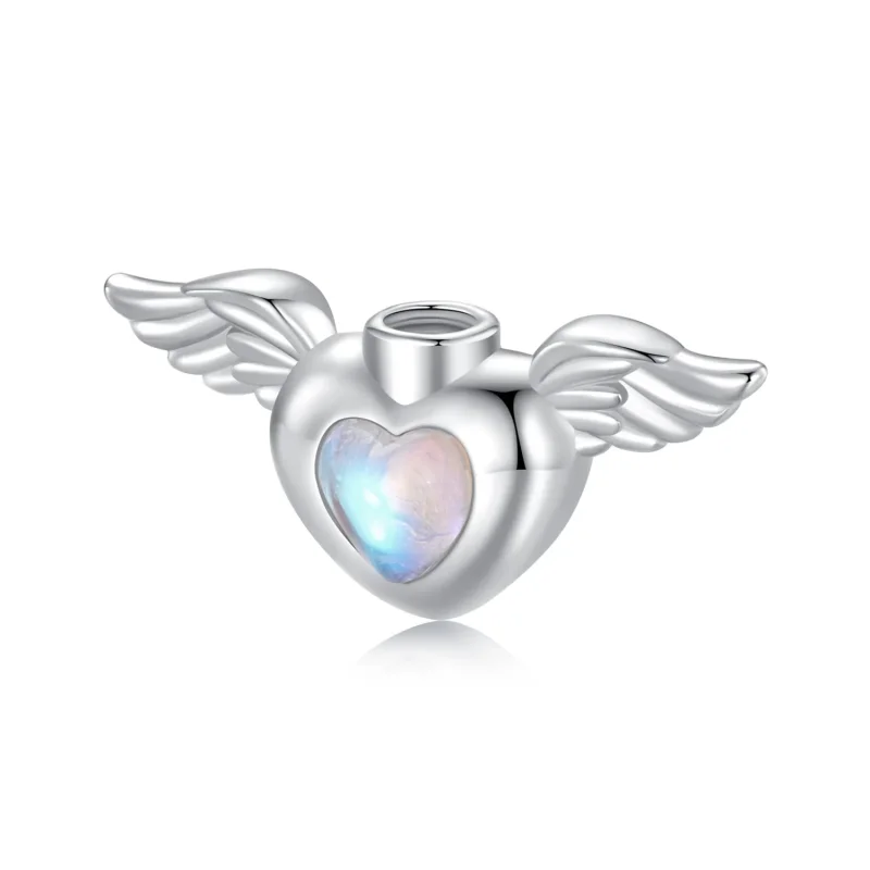 (immagine per) PANDORA Style Pet urna commemorativa ciondolo scatola - BSC1036 - Visualizza 8