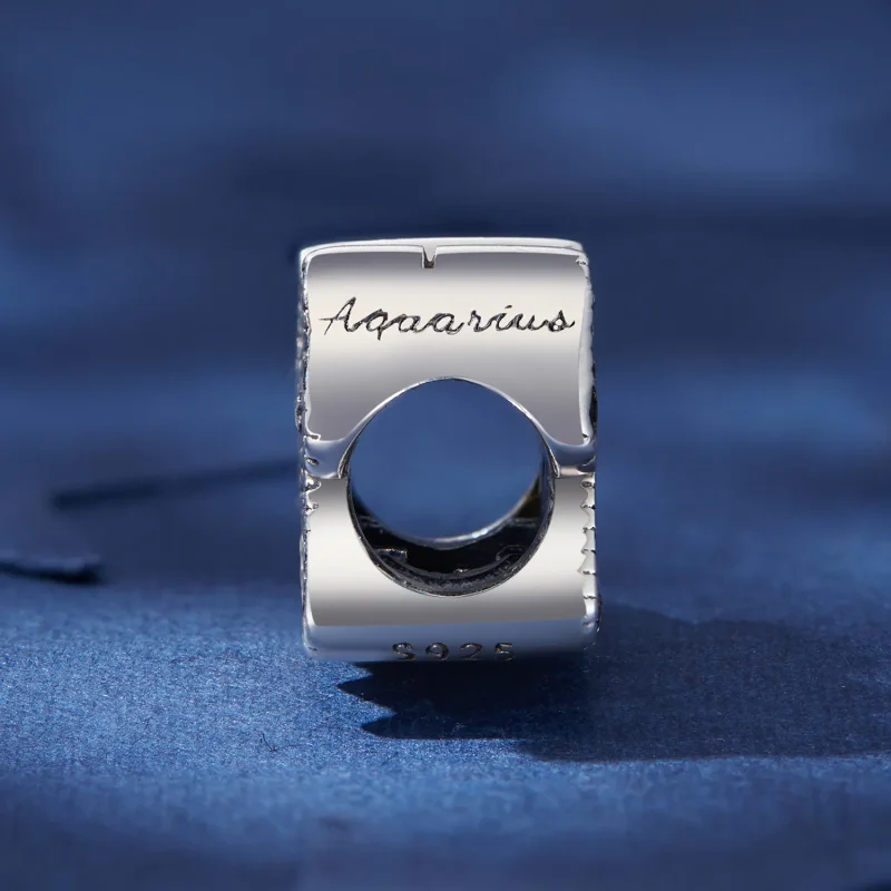(immagine per) Charm del segno zodiacale dell'Aquario di stile Pandora - SCC2516-12 - Visualizza 3
