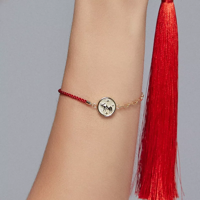 (immagine per) Braccialetti di corda Toro - BSB075 - Visualizza 4