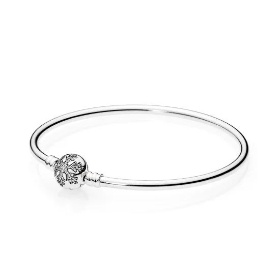 (immagine per) Bracciale Rigido in Argento - Pandora IT 590740CZ