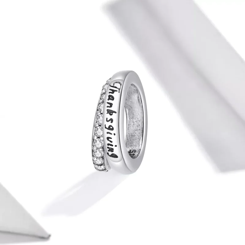 (immagine per) Charm tipo Pandora Caloroso Ringraziamento - SCC1632 - Visualizza 2