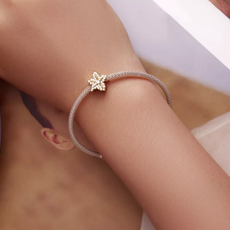 (immagine per) Charm tipo Pandora foglia di acero - BSC673 - Visualizza 6