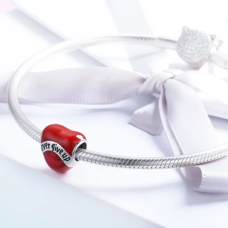 (immagine per) Charm tipo Pandora Non mollare - SCC808 - Visualizza 4