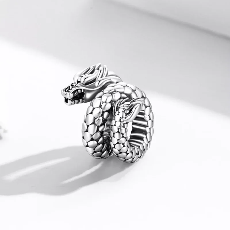 (immagine per) Charm tipo Pandora Panlong retrò - BSC546 - Visualizza 2