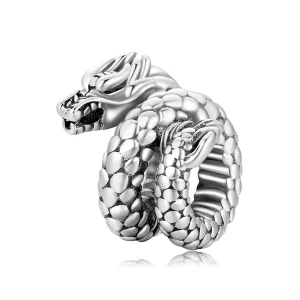 (immagine per) Charm tipo Pandora Panlong retrò - BSC546