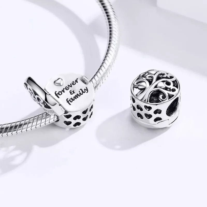 (immagine per) Charm tipo Pandora Per sempre e famiglia - SCC1259 - Visualizza 4