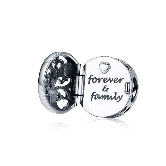 (immagine per) Charm tipo Pandora Per sempre e famiglia - SCC1259