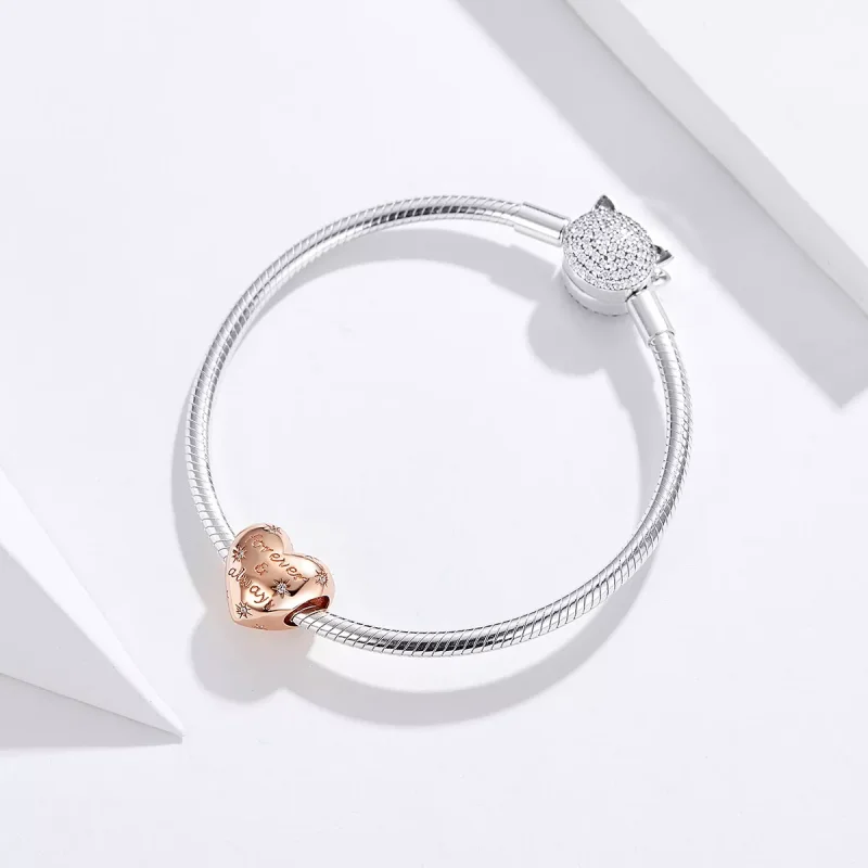 (immagine per) Charm tipo Pandora Sempre e per sempre - SCC1223 - Visualizza 4
