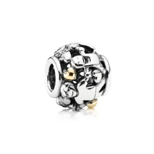 (immagine per) Charm Famiglia - Pandora IT 791040