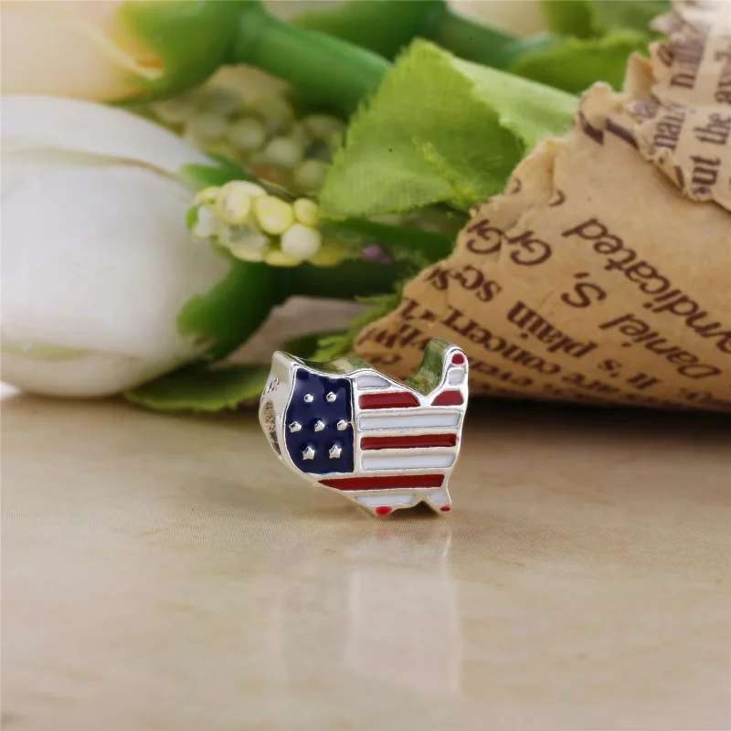 (immagine per) Charm PANDORA Profilo degli S.U.A. - Visualizza 2