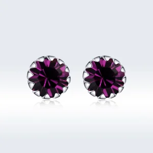 (immagine per) Orecchini a Lobo tipo Pandora Birthstone Febbraio - SCE862-2