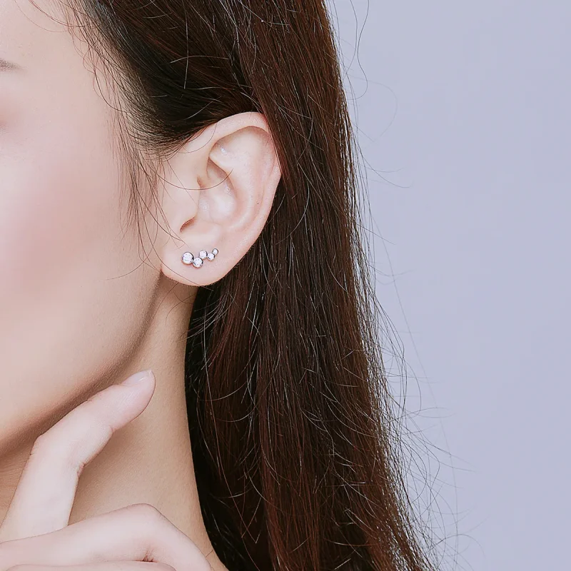 (immagine per) Orecchini a Lobo tipo Pandora Eleganza splendente - BSE235 - Visualizza 5