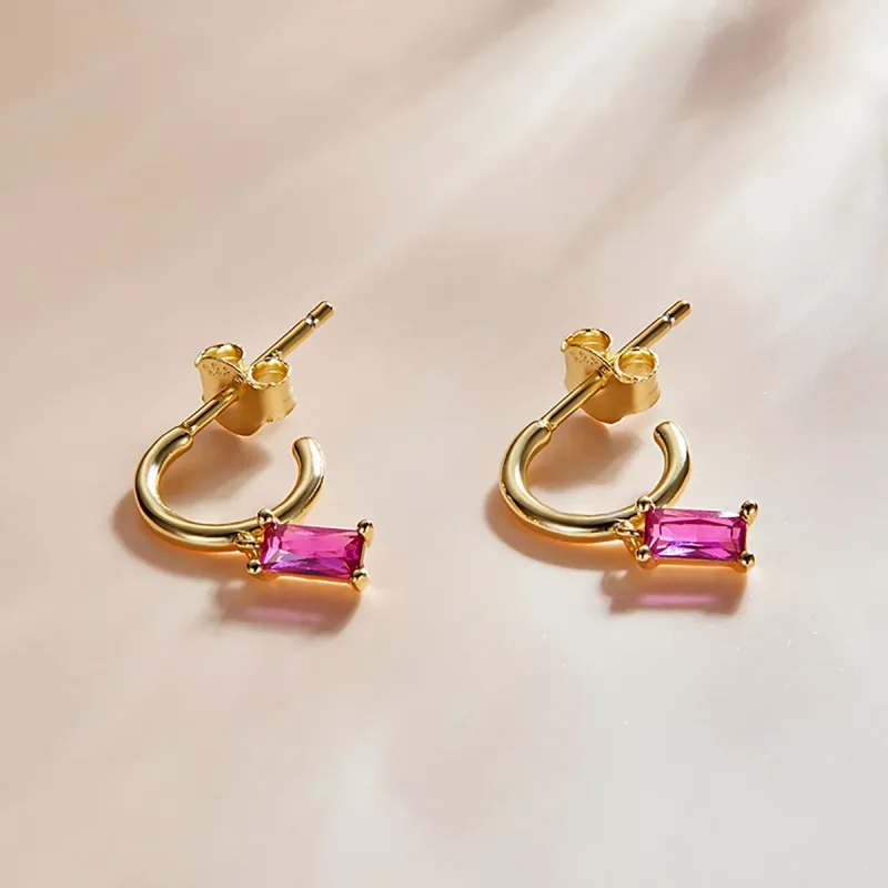 (immagine per) Orecchini Pendenti tipo Pandora Zirconio cubico colorato - Rosa - SCE1242-RD - Visualizza 2
