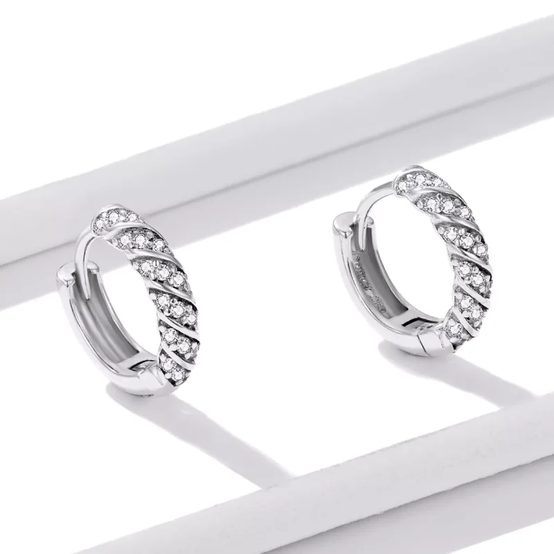 (immagine per) Orecchini a Cerchio tipo Pandora Donna elegante - BSE512 - Visualizza 3