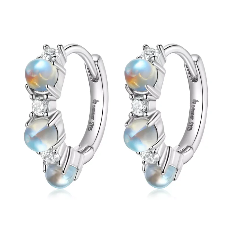 (immagine per) Orecchini a Cerchio tipo Pandora Semplice - BSE532