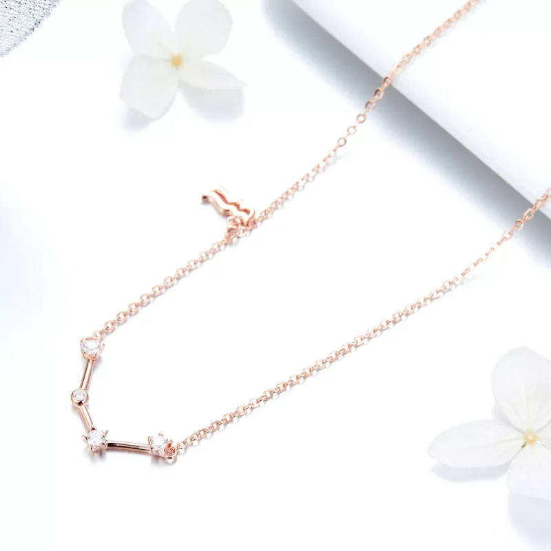(immagine per) Collana tipo Pandora Acquario - BSN016 - Visualizza 3