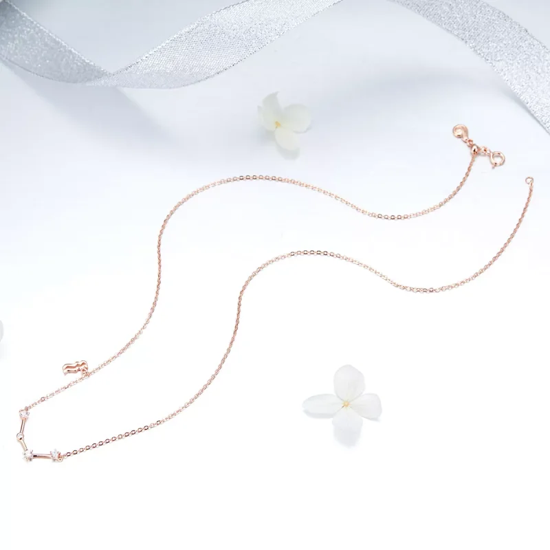 (immagine per) Collana tipo Pandora Acquario - BSN016 - Visualizza 5