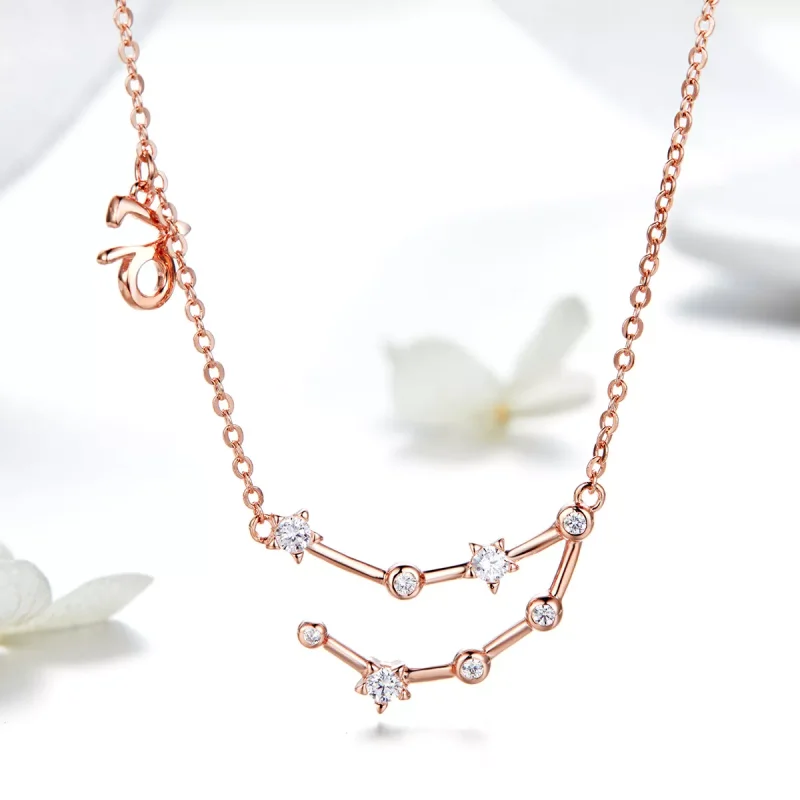 (immagine per) Collana tipo Pandora Capricorno - BSN026 - Visualizza 2