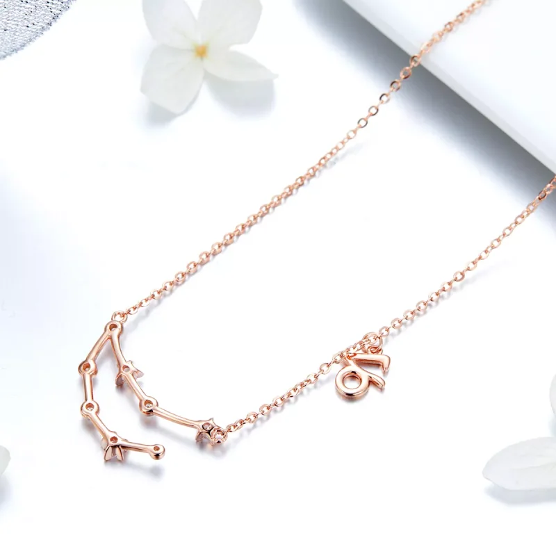 (immagine per) Collana tipo Pandora Capricorno - BSN026 - Visualizza 4