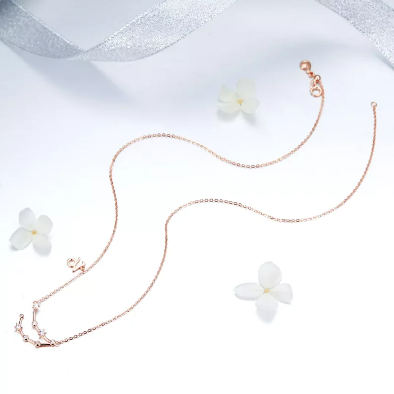 (immagine per) Collana tipo Pandora Capricorno - BSN026 - Visualizza 5