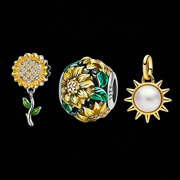 (immagine per) Girasole